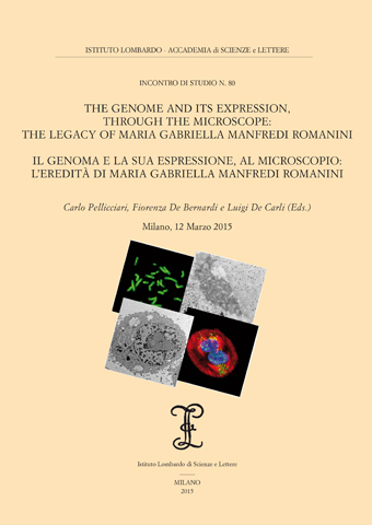 					Visualizza Il Genoma e la sua espressione, al microscopio: l'ereditÃ  di Maria Gabriella Manfredi Romanini
				
